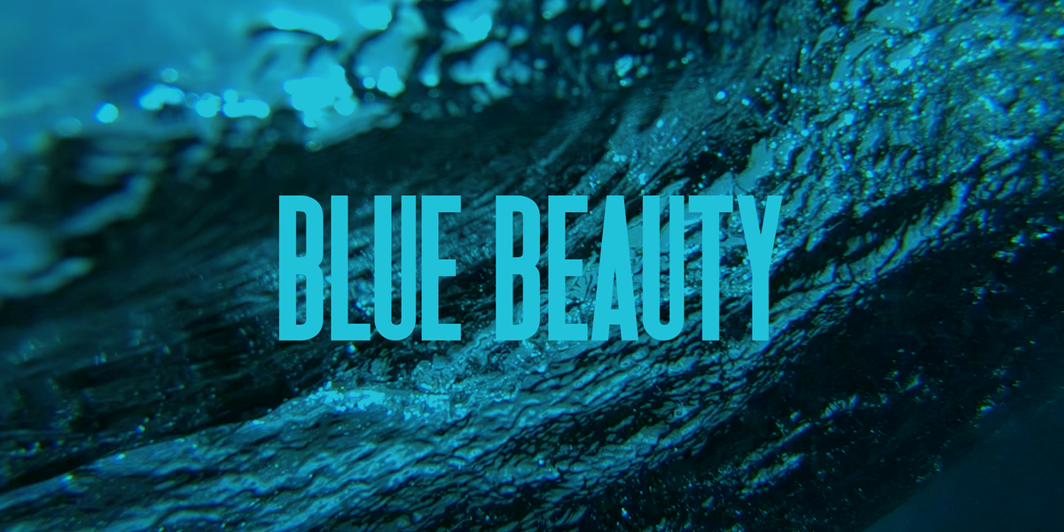 Wait, What Even Is “Blue Beauty”? 1 Wait, What Even Is “Blue Beauty”?