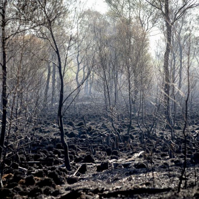 Hot New Environmental Threat: Zombie Fires That Come Back to Life