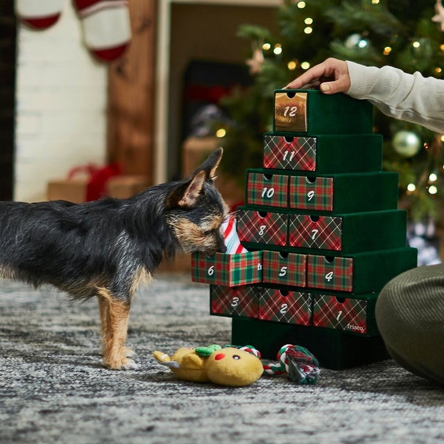 7 Best Pet Advent Calendars 2020 Dog & Cat Advent Calendars