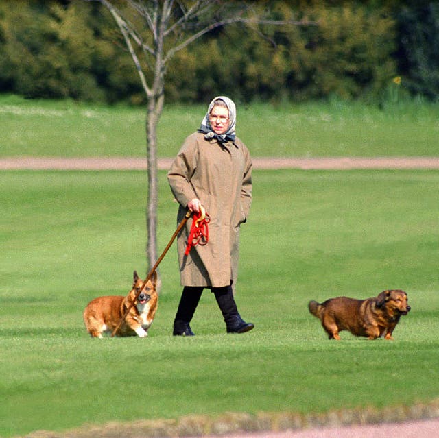 エリザベス女王が新しいコーギー犬につけた名前が意味するもの ハーパーズ バザー Harper S Bazaar 公式