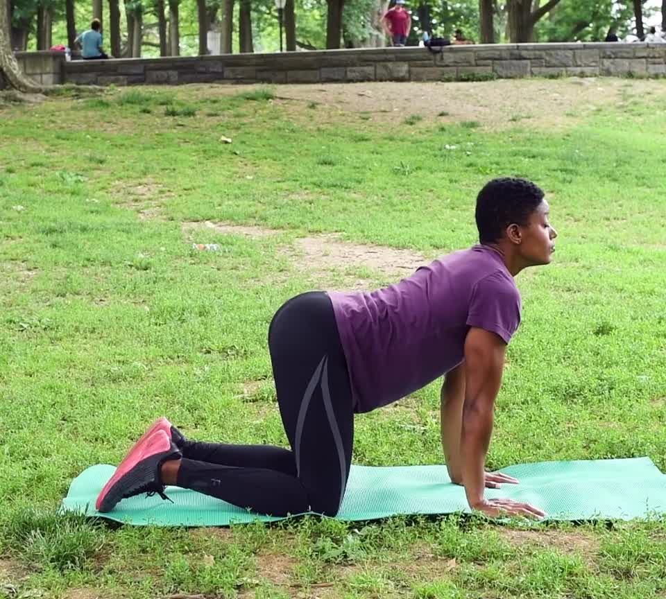 Young caucasian woman wearing black sports bra standing on city park,  outdoors concentrating on her workout, leaning on a park bench, doing  triceps ex Stock Photo - Alamy