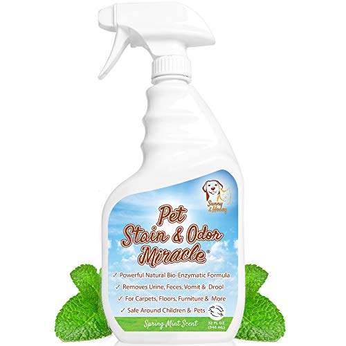 Pet Stain & Odor Miracle - Enzyme Cleaner for Dog and Cat Urine, Feces, Vomit, Drool