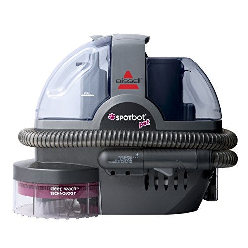 best cleaner for pet accidents