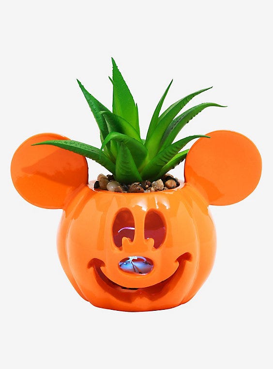 Mickey Jack-O'-Lantern Succulent
