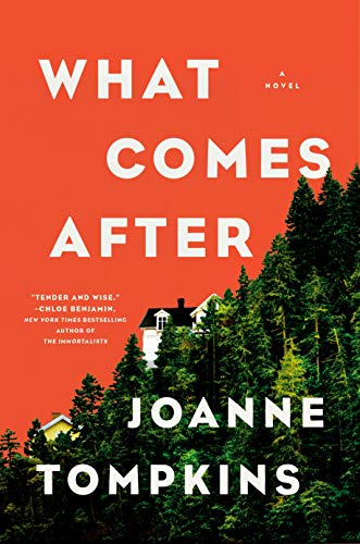 <i>What Comes After</i> by Joanne Tompkins