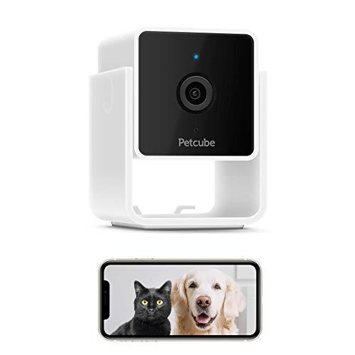 Petcube Cam Pet Monitoring Camera 