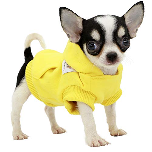 George Hanbury Absorber Vigilante The Best International Dog Day Outfits For As Low As $6.99 I Chron Shopping