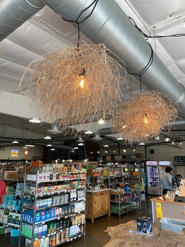 Dried Tumbleweed For Use as Room Decor