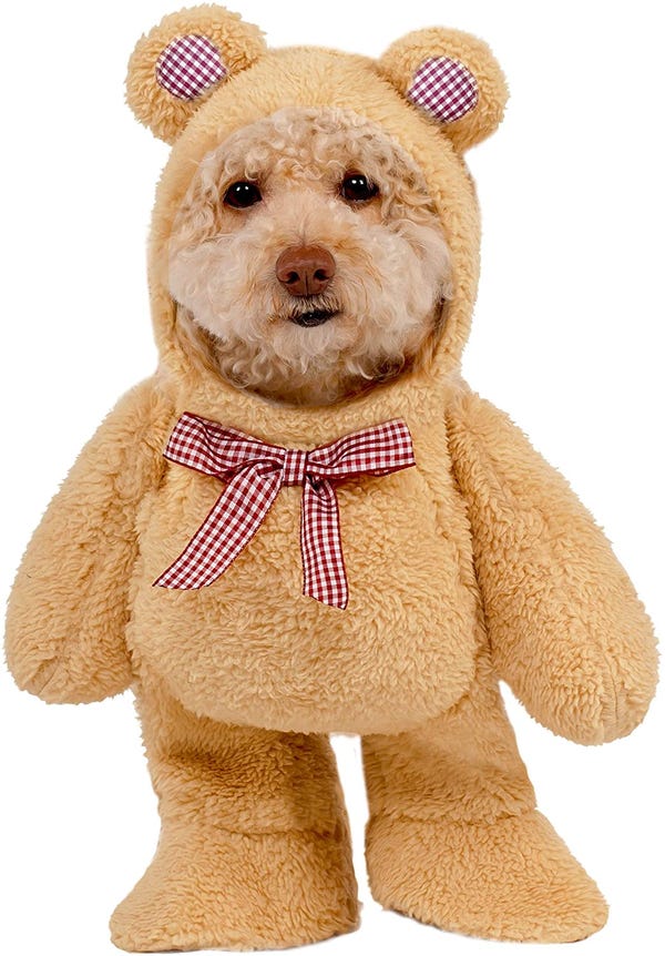 Walking Teddy Bear Pet Costume