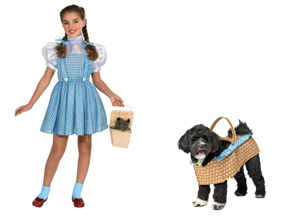Rasta Imposta Doggie Basket Pet Costume 