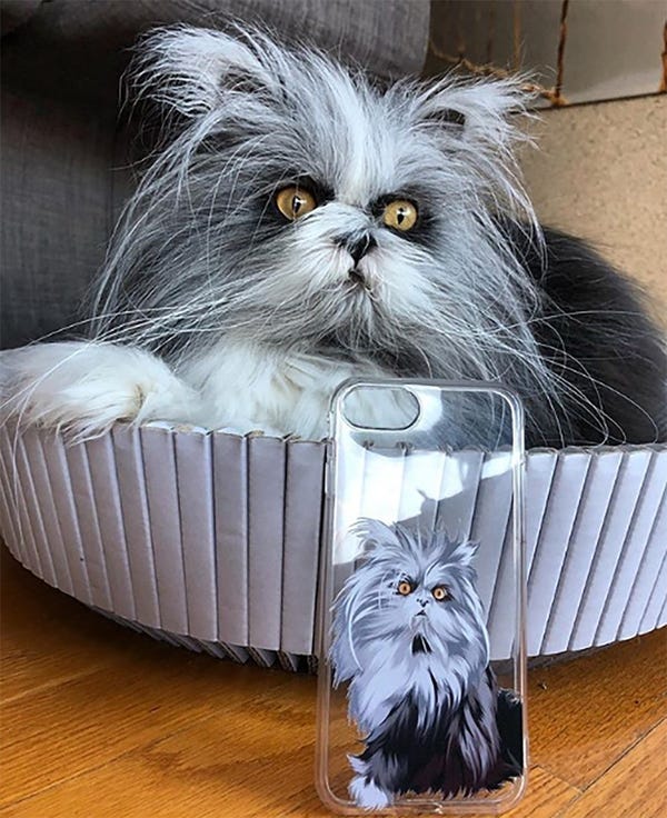 Custom Cat Illustrated Phone Case