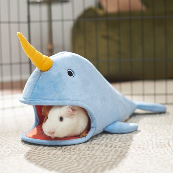 Frisco Small Pet Narwhal Cave