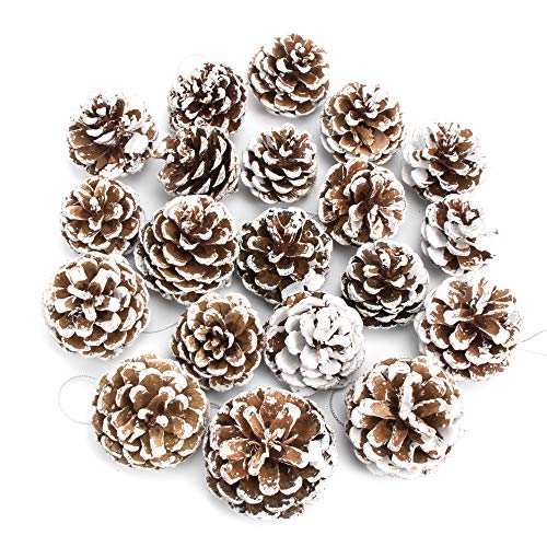JEKOSEN 20PCS Pine Cones with String for Home Decor