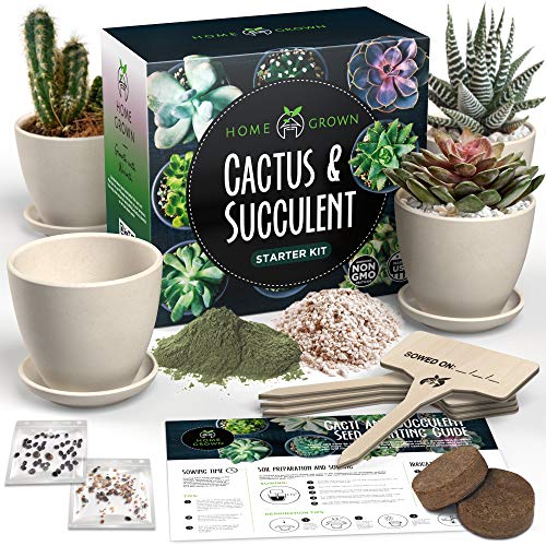 Succulent & Cactus Seed Kit for Planting – [Enthusiasts Favorites]