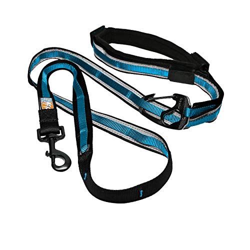 jogging leash petsmart