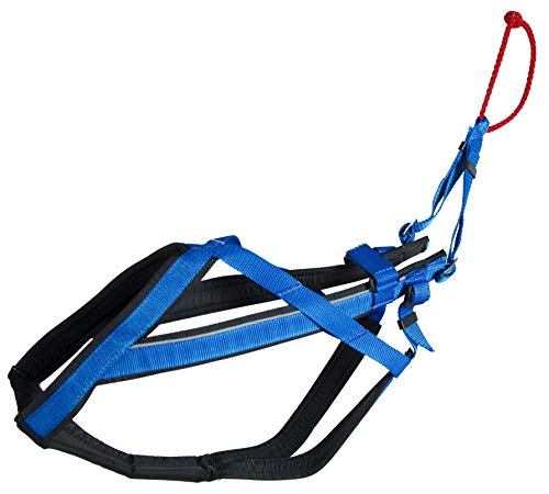 Neewa Adjustable Racing Harness (Large, Blue)