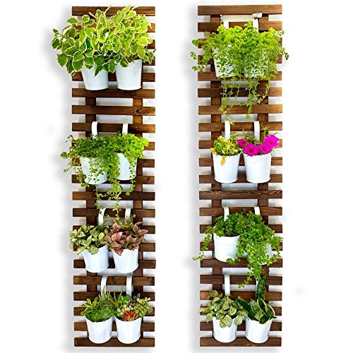 Wall Planter - 2 Pack
