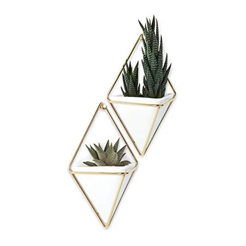 Trigg Hanging Planter Vase & Geometric Wall Decor Container 