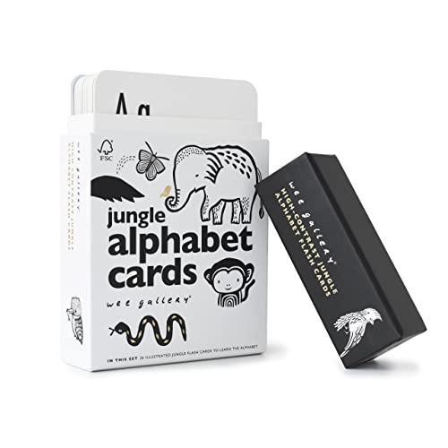 Educational Flashcards for Babies