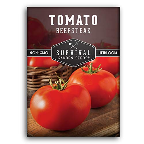 Jautienos kepsnys pomidorų sėklos sodinimui 