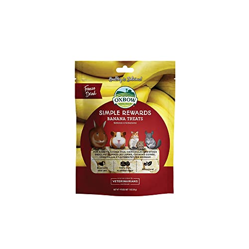 Oxbow Simple Rewards Freeze Dried Banana Treats 