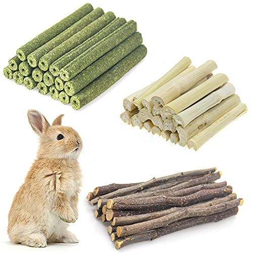 Changeary Small Animals Chew Toys 