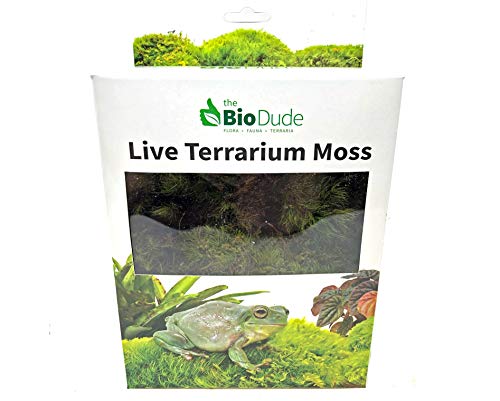 Live Terrarium Moss - Natural Pillow Moss