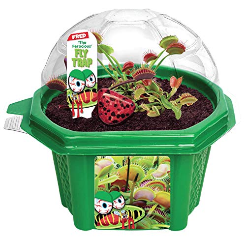 Toys By Nature Venus Fly Trap - Fun and Easy to Grow Kids Terrarium Set