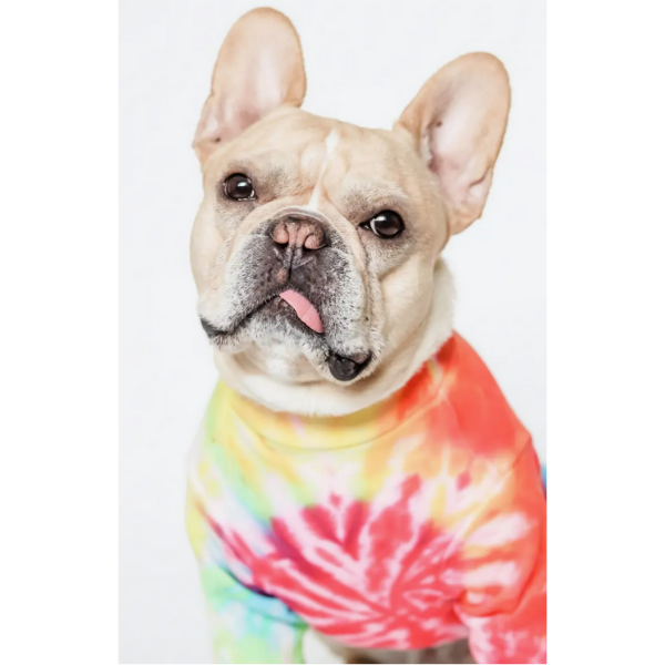 LOVETHYBEAST Rainbow Tie-Dye Dog Tee