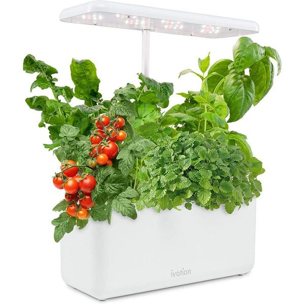 7-Pod Indoor Herb Garden Kit
