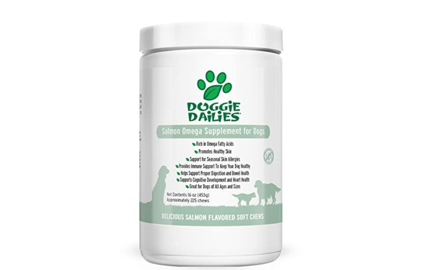 Apple Cider Vinegar Pills For Dogs Dosage Can You Give Dogs Apple Cider Vinegar Pills
