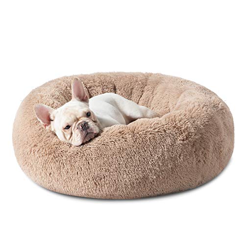 Calming Dog Bed for Small Dogs and Cats