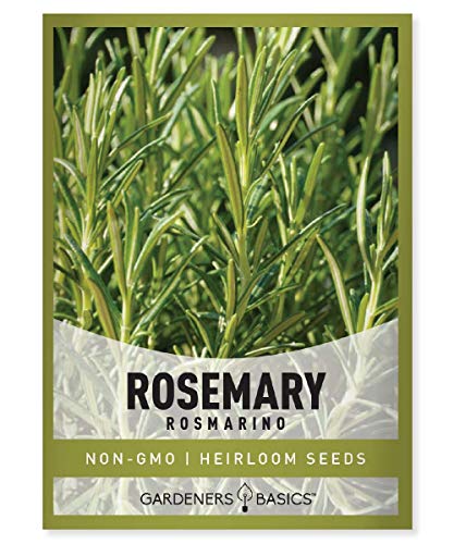 Rosemary Seeds for Planting 