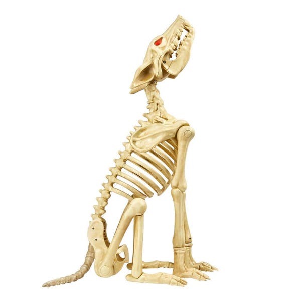 2.5 ft Animated Skeleton Wolf with LED Eyes