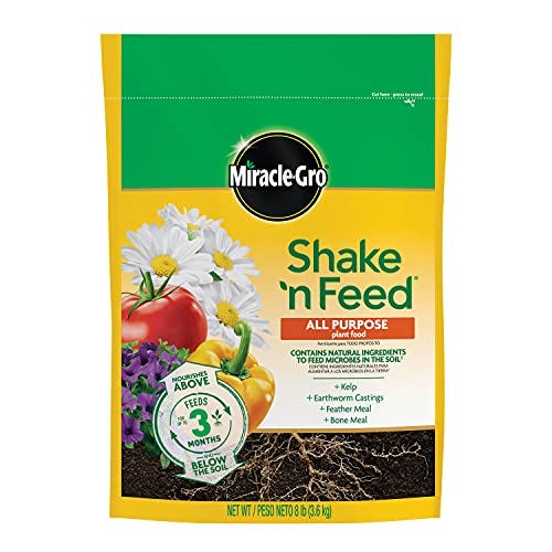 Miracle-Gro 3002010 Shake 'N Feed Continuous Release All Purpose Plant