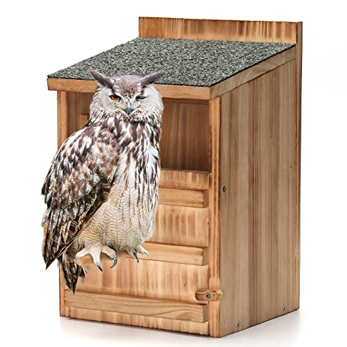 owl house