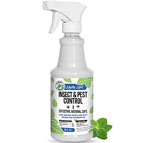 Mighty Mint - 16 oz. Insect and Pest Control