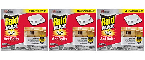 Raid Max Double Control Ant Bait