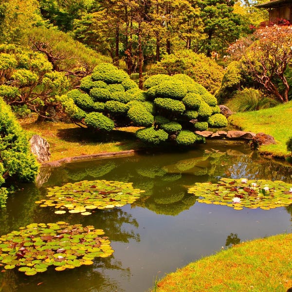 Japanese Tea Garden, San Francisco, CA