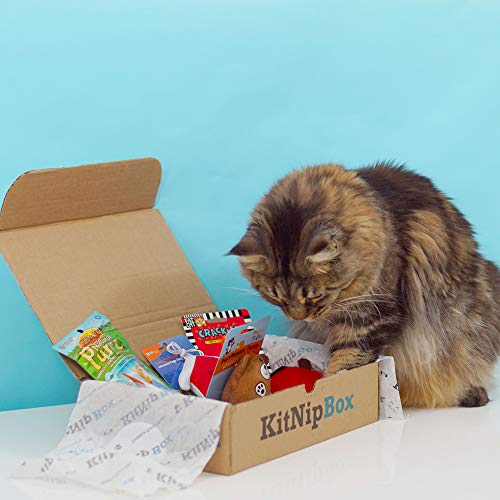 KitNipBox | Monthly Cat Subscription Boxes Filled with Cat Toys and Cat Treats