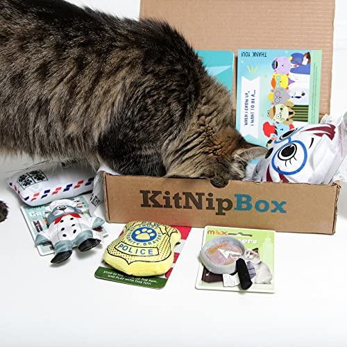 KitNipBox | Multi-Cat Box