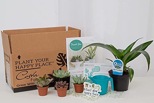 Costa Farms O2 for You Live Indoor Plant and Succulent-Cactus Mix Subscription Box