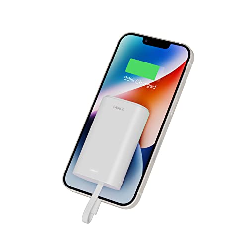 iWALK Portable Charger 