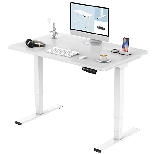 FLEXISPOT 3 Stage Dual Motor Electric Standing Desk