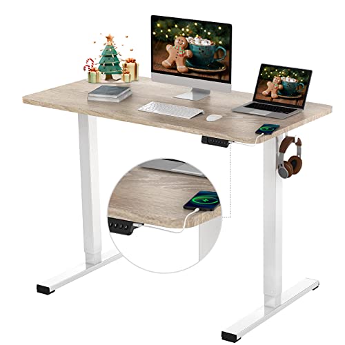 FLEXISPOT Essential Electric Standing Desk