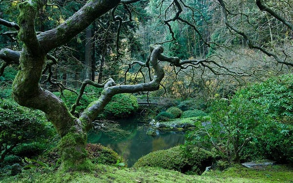 Portland Japanese Garden