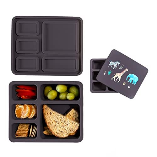 Austin Baby Co Leak-Proof Bento Lunch Box for Kids 