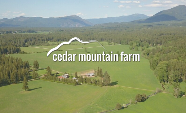 Cedar Mountain Farm