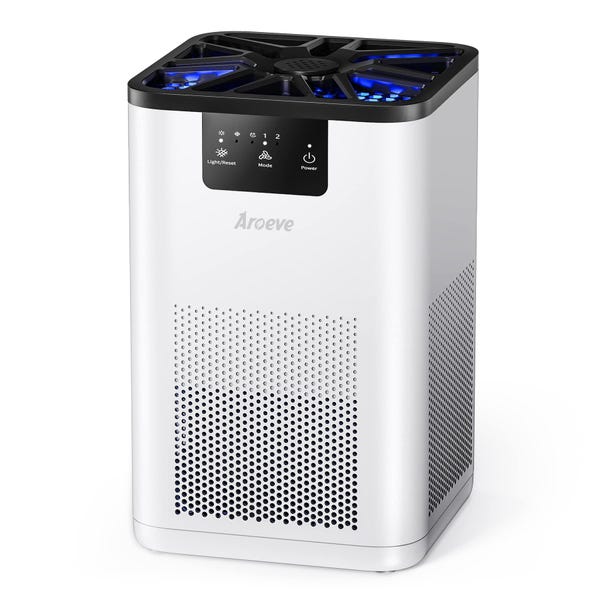 The best large room air purifiers of 2024, according to an expert