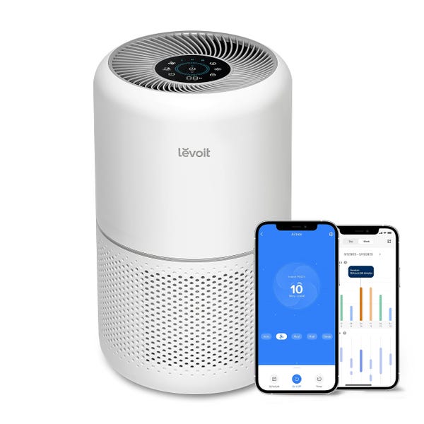 The best large room air purifiers of 2024, according to an expert